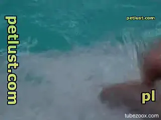 Man jerks off dolphin's cock in insane outdoor cam play