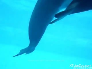 Underwater zoophilia kinks for horny man needy to fuck