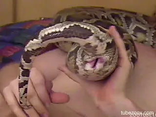 Snake pussy getting fingered in a zoo porn video