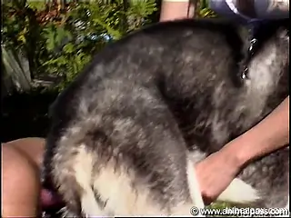 Curly-haired Latina happily fucks a dog outdoors