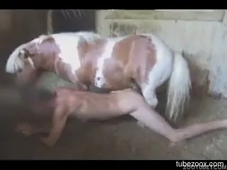 Pony with a thick boner fucks a submissive dude