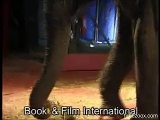 Elephant gets easily seduced by a naked blonde babe