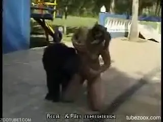 Carnival hottie wants to get fucked by an actual ape