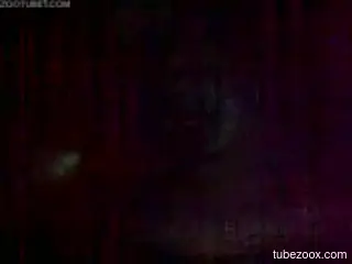 Late night  animal porn scenes with a horny amateur man