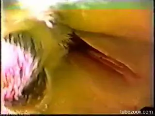 Fine ass amateur women are having a wild time sharing dog dick