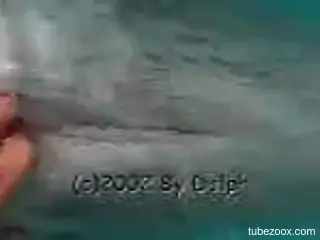 Dude using his sausage-like fingers to fuck a dolphin