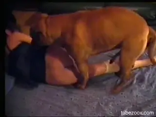 Cozy nighttime bestiality with a horny lady in HD