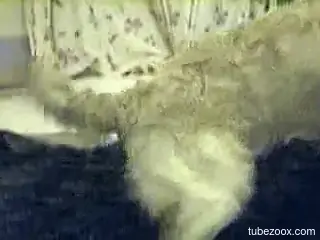 Furry animal fucking a good-looking babe on camera