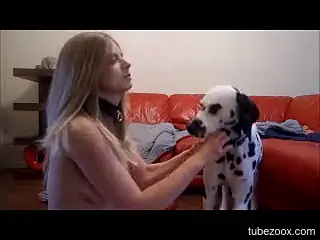 Blonde babe gets screwed by a Dalmatian's tongue