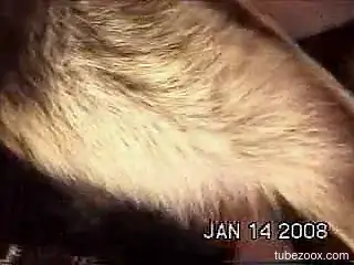 Passionate fucking movie with a tight pussy zoophile