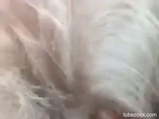 Sexy guy fucking a sexy beast sexily and everyone cums