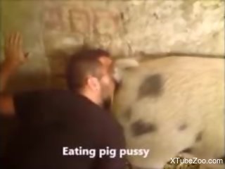 Horny guy eating animal pussy in a hot fashion