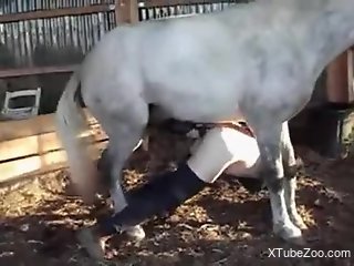 Horse ruins mature's pussy in scenes of amateur zoophilia