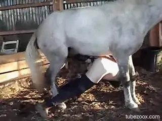 Horse ruins mature's pussy in scenes of amateur zoophilia