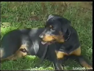 Blonde in high heels enjoying doggystyle fucking
