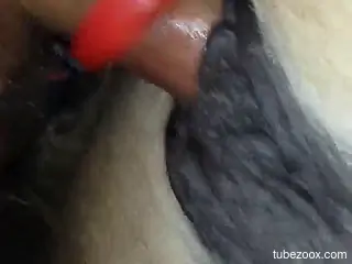 Dude puts on his special cockring to fuck a mare