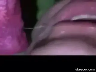 Hot oralist pleasuring a dog's delicious cock