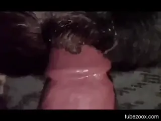 Dude enters a beast's h ole with his HUGE cock