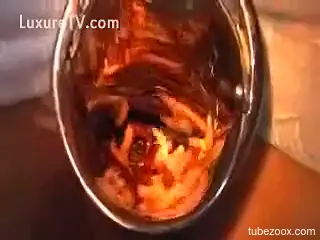 Insolent female inserts worms in the butt hole during masturbation