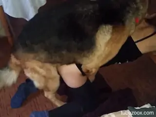 Ravishing hottie gets ravaged by a horny animal