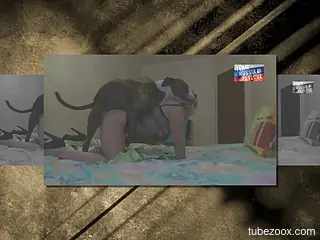 Horny lady getting pounded by a dirty beast on all fours