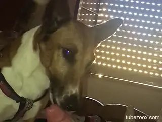 Nasty oral experience with a sexy animal in HQ