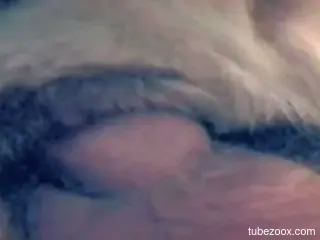 Dude impales a dog on his cock and makes it cum