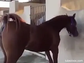 Horses like that are just too sexy to fucking handle