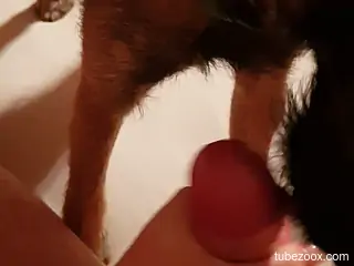 Hot dude cumming all over this animal for real