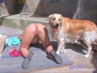 Nice ass amateur getting fucked by a dirty mutt