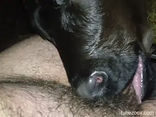 Black mutt deepthroating a guy's hard cock on cam