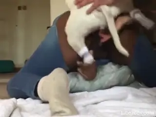 Black skinned beauty fucks a white dog on camera