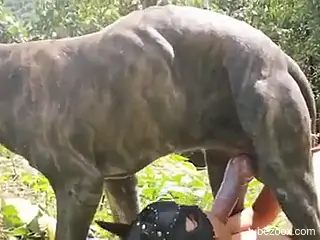 Compilation of zoophilic suckers that get sloppy