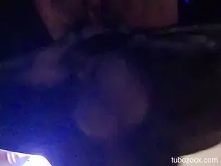 Big red cock of a dog disappears in that slit
