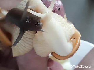 Dude fucking snails as they make out on his dick