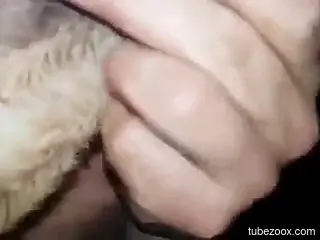 Badass zoophile fucking in the dark with a dog