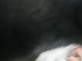 Dude helps dog with its cock and it looks hot AF