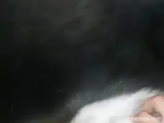 Dude helps dog with its cock and it looks hot AF