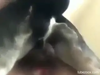 Hot animal is going to creampie that juicy pussy