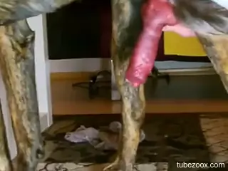 Black stockings babe goes fucking mental today