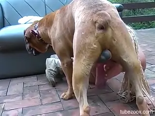 Blondie shows what she needs during dog anal