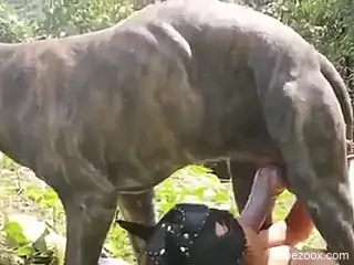 Compilation of zoo oral with the best babes ever