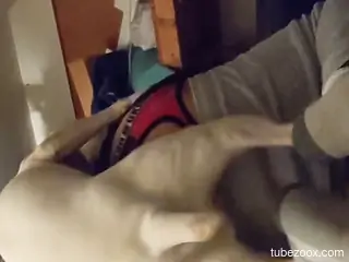 Hairy ass dude is going to fuck a white dog too