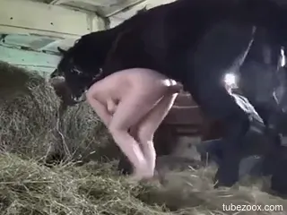 Horse penis slides right up the hot hole too
