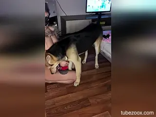 Nude female filmed at home trying sex with her furry dog