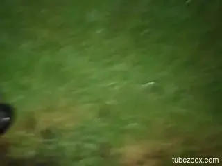 Aroused man craves animal sex in the middle of the night