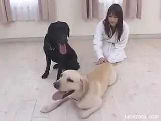 Sexy ass babe granted hefty dog dick in her Asian cunt