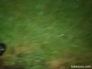Horny man wants to try sex with animals during jerk off solo