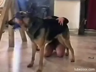 Tight female sucks the dog dick dry after insane sex scenes