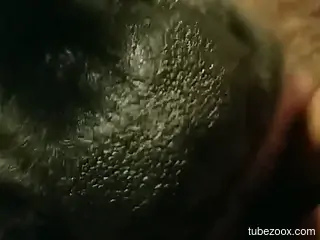 Insolent woman fulfills her sexual needs in true zoophilia rounds